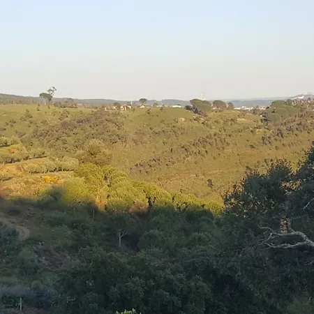Quinta Do Caneiro - Casa Turismo Rural * Constância
